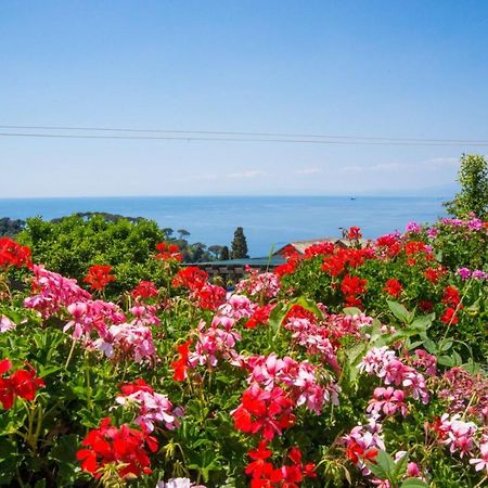 Le Clementine B&B Camogli Ngoại thất bức ảnh