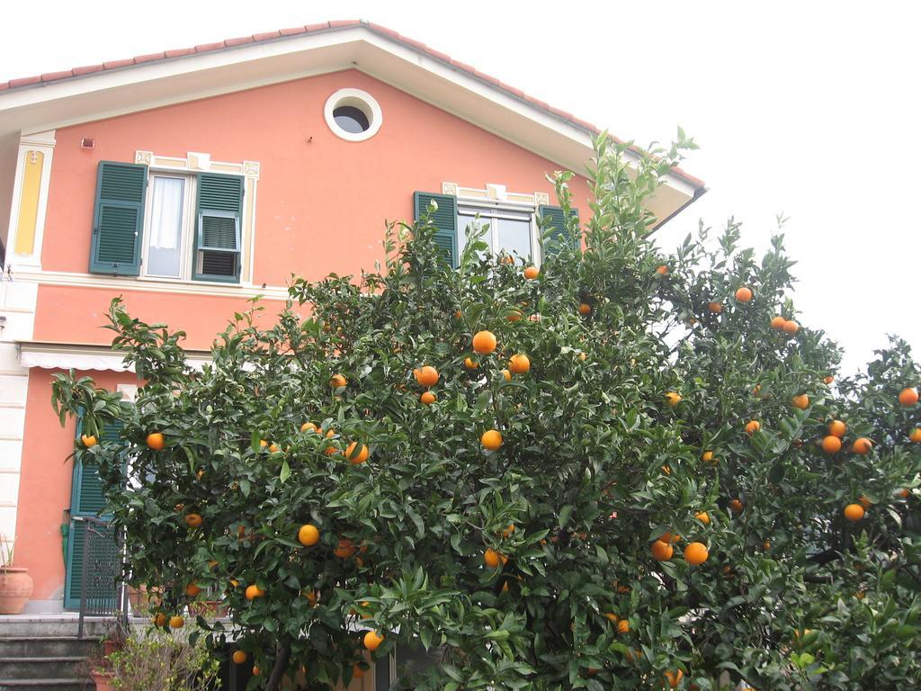 Le Clementine B&B Camogli Ngoại thất bức ảnh