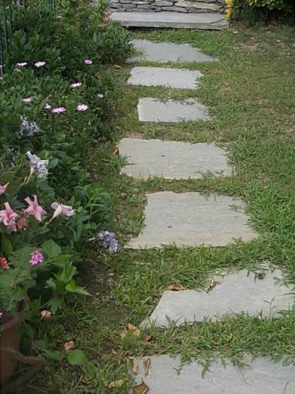 Le Clementine B&B Camogli Ngoại thất bức ảnh