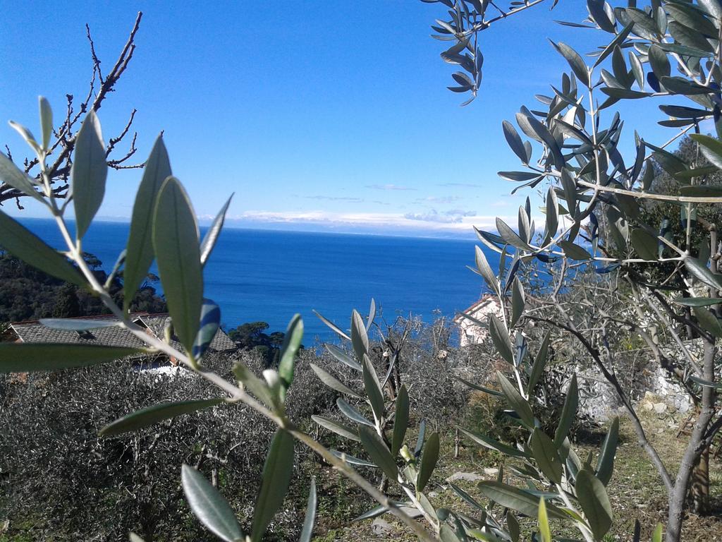 Le Clementine B&B Camogli Ngoại thất bức ảnh