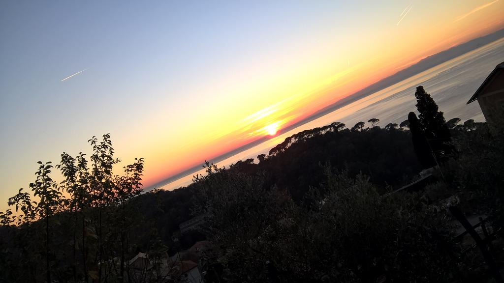 Le Clementine B&B Camogli Ngoại thất bức ảnh