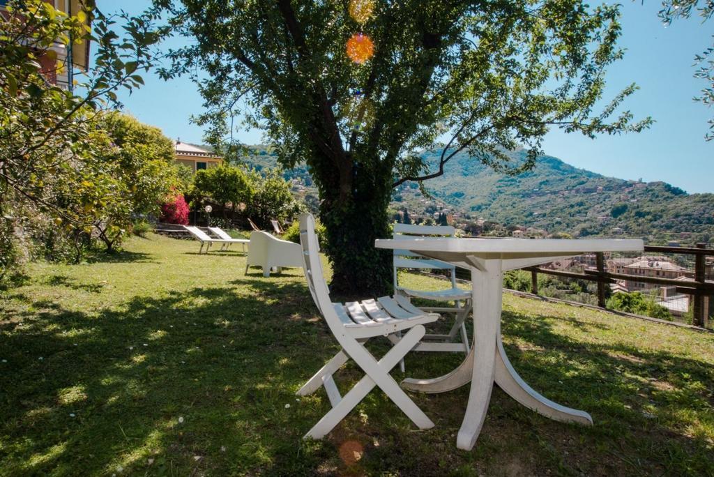Le Clementine B&B Camogli Ngoại thất bức ảnh