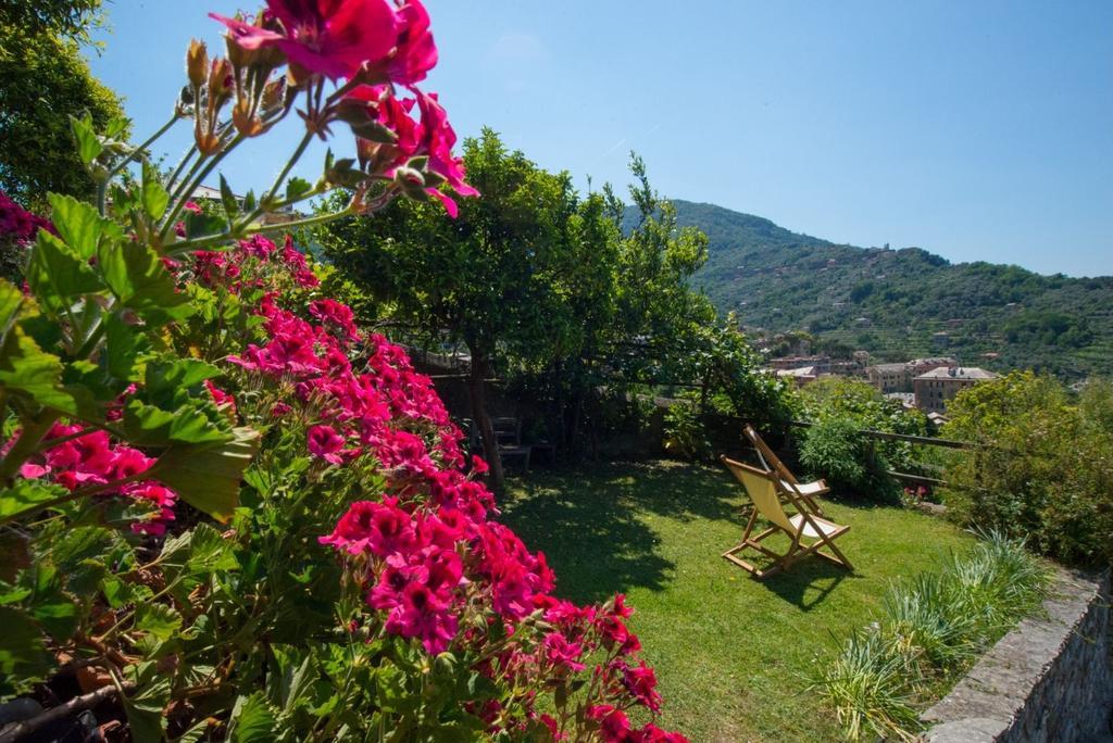 Le Clementine B&B Camogli Ngoại thất bức ảnh