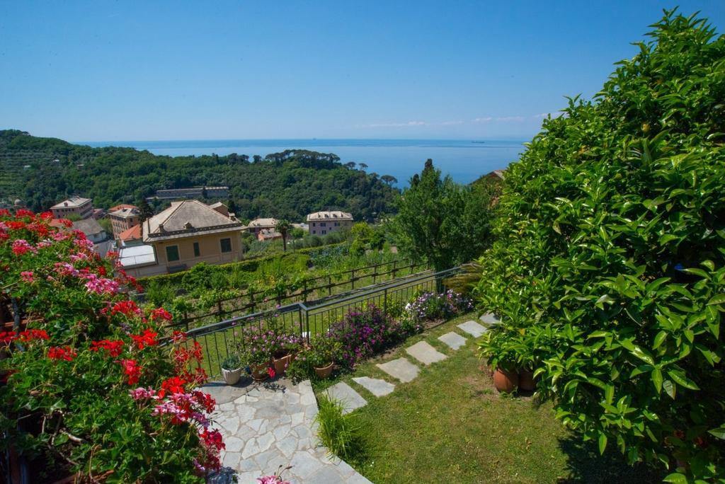 Le Clementine B&B Camogli Ngoại thất bức ảnh