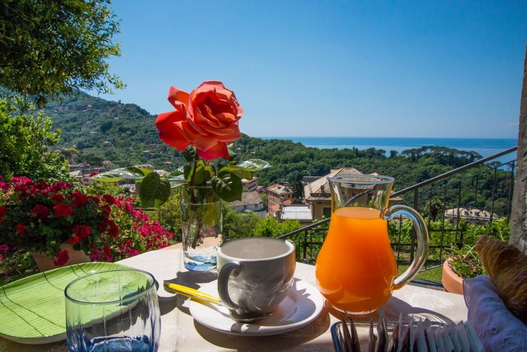 Le Clementine B&B Camogli Ngoại thất bức ảnh